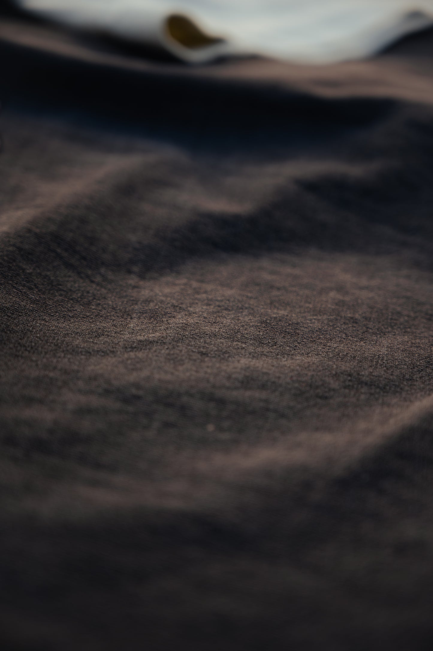 Cars and Swedish Meatballs Seattle Vintage Oversized Tee - Black